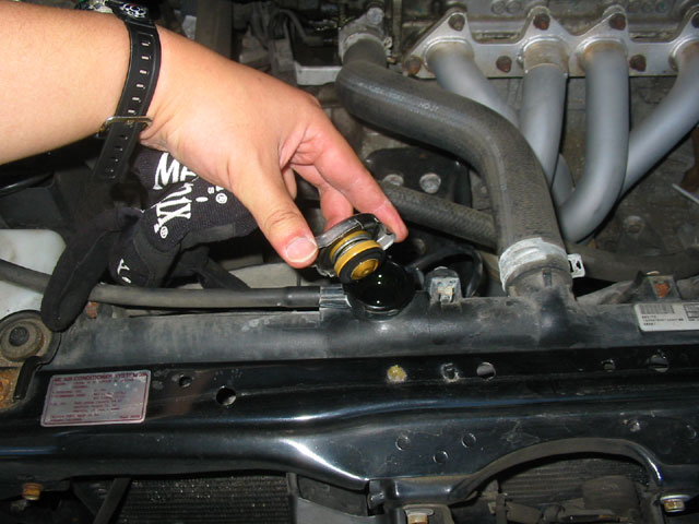 Drain antifreeze ford taurus #7